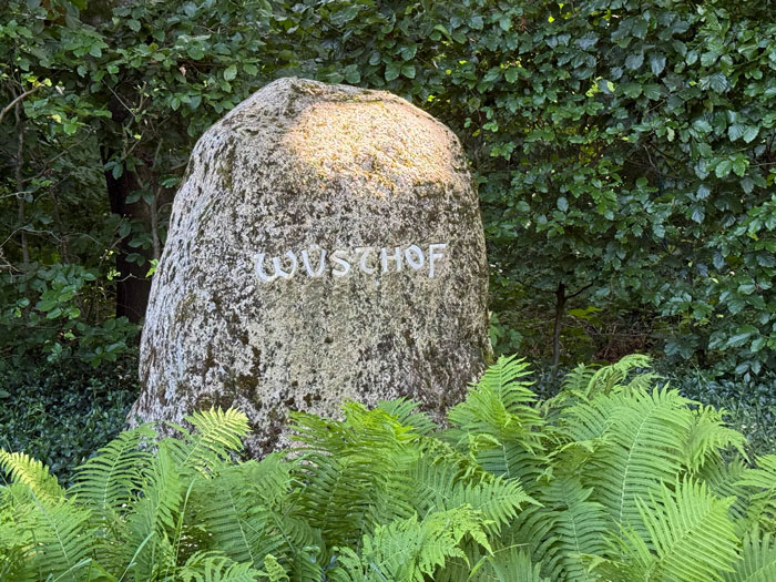 Stein mit Aufschrift WÜSTHOF mit Buchenhecke dahinter und Farn im Vordergrund
