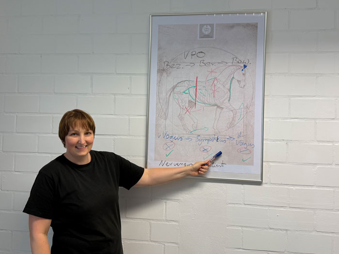 Ines Sander zeigt auf Tafel zum Thema VPO