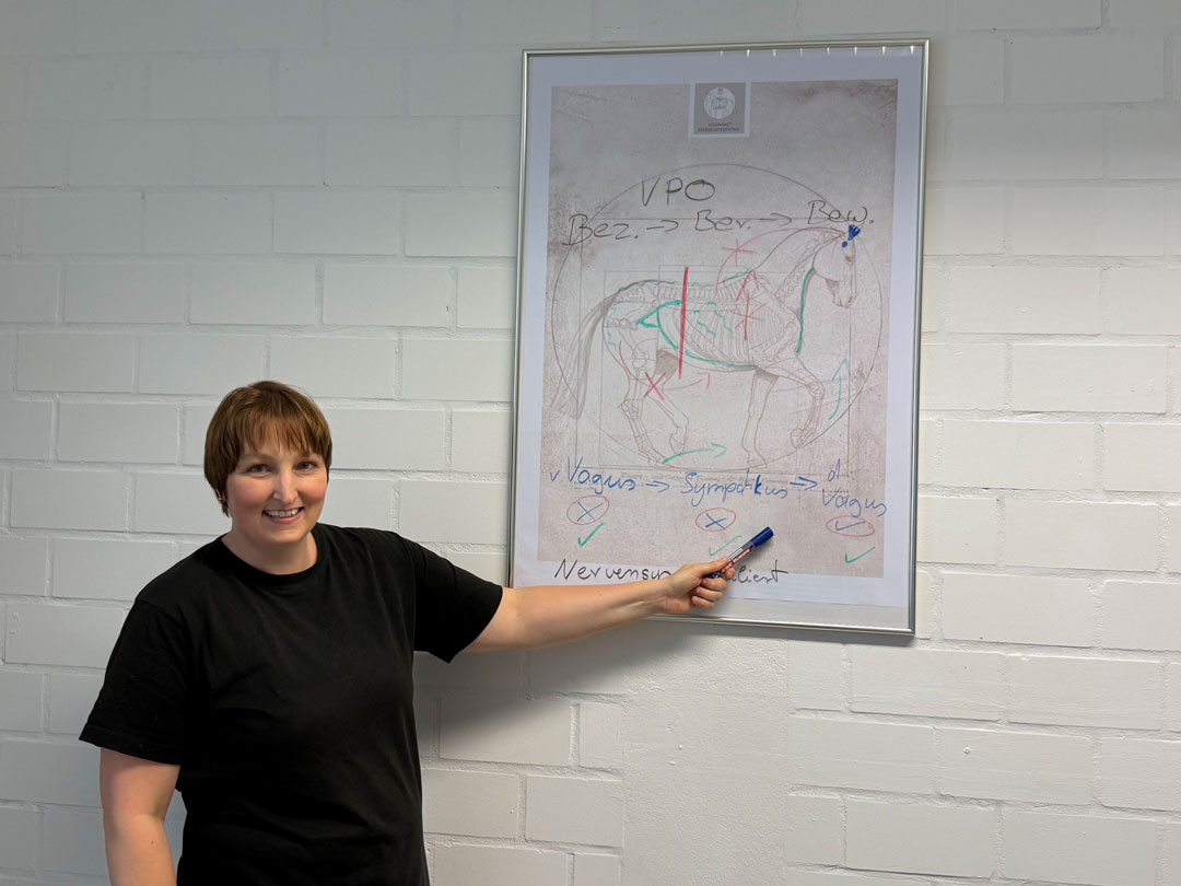 Ines Sander zeigt auf Tafel zum Thema VPO