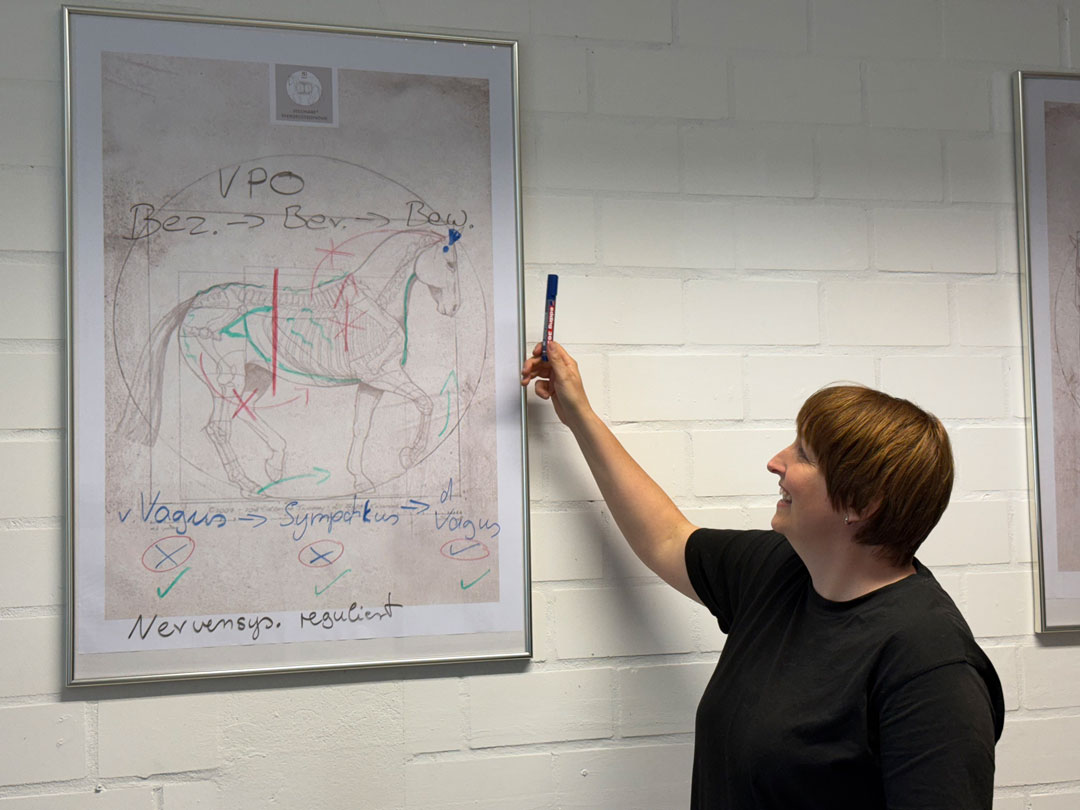 Ines Sander zeigt auf Tafel zum Thema VPO