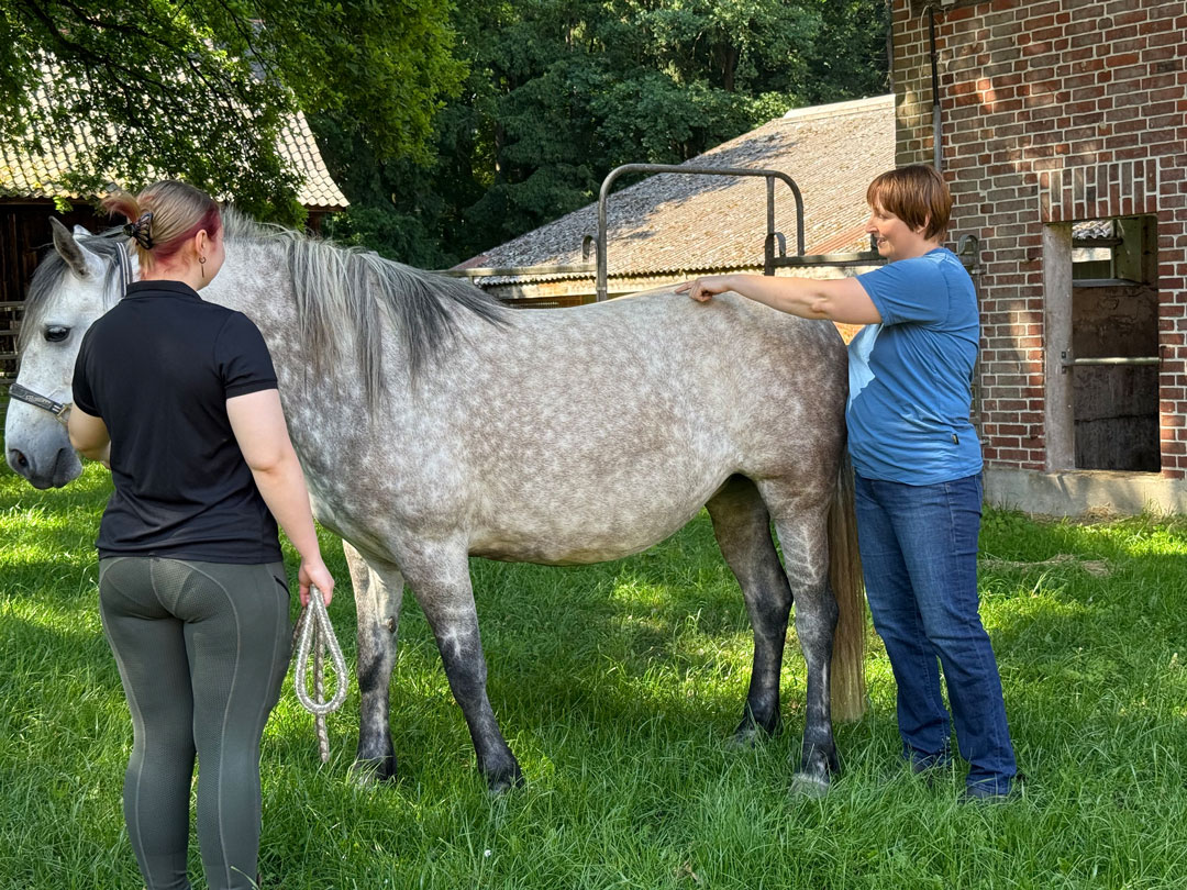 Pferdehalterin hält Pferd und Ines Sander zeigt auf den Pferderücken