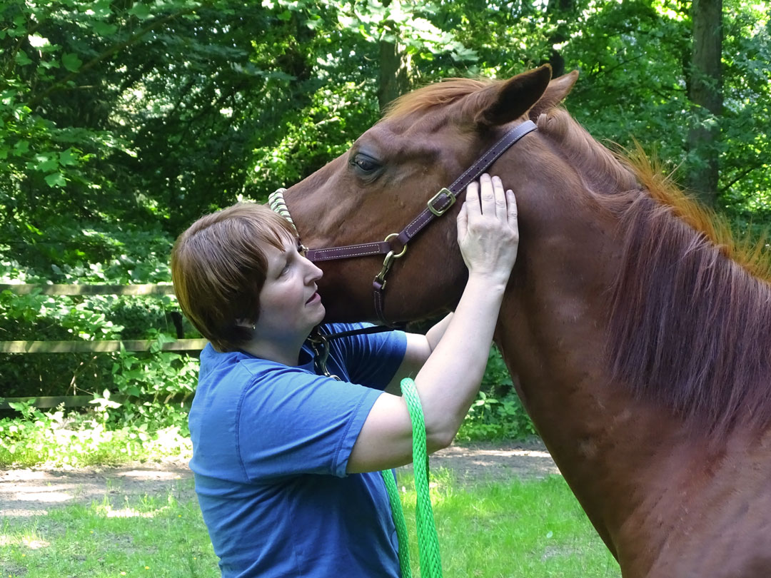 Ines Sander greift am Pferdekopf