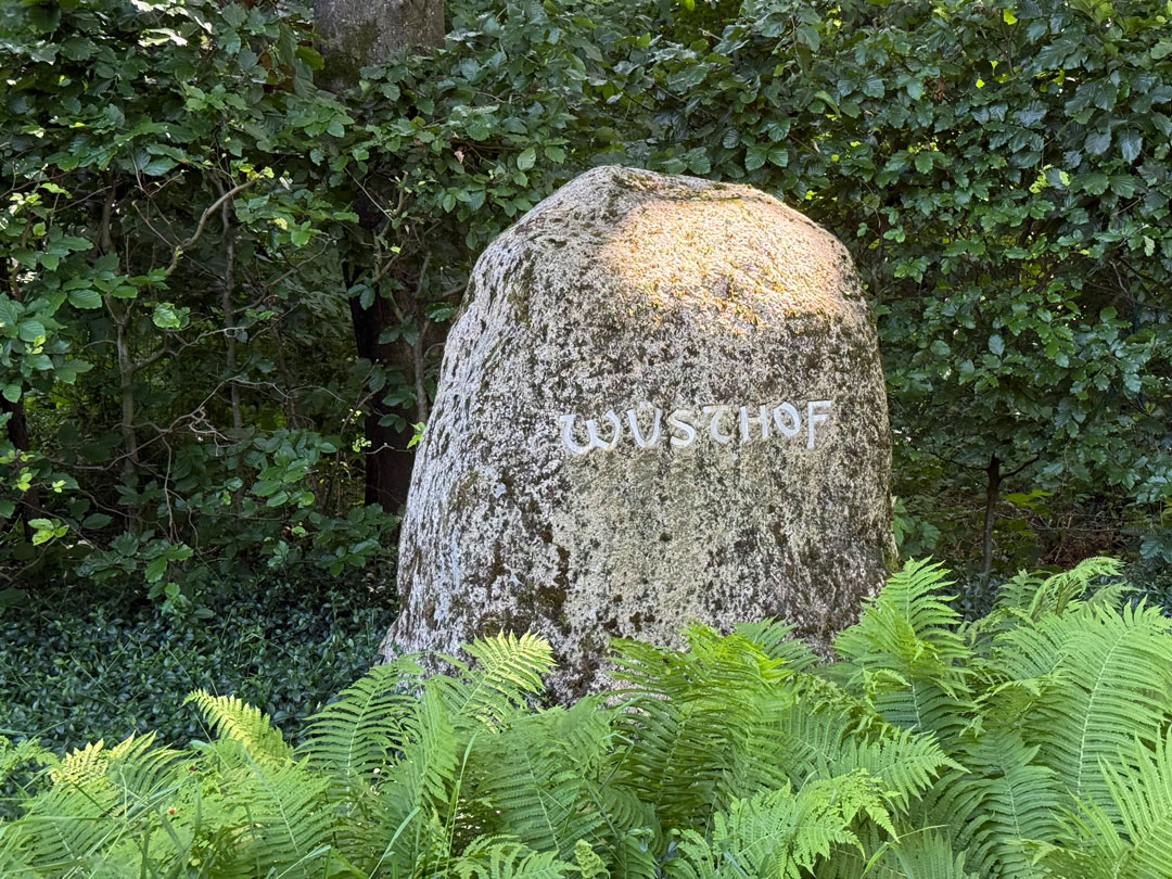 Stein mit Aufschrift WÜSTHOF mit Hecke dahinter und Farn im Vordergrund